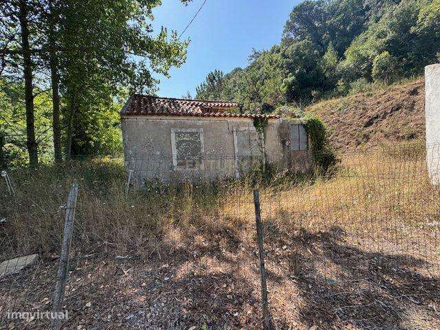 Oportunidade Única Moradia  com terreno para Recuperar - Grande imagem: 4/8