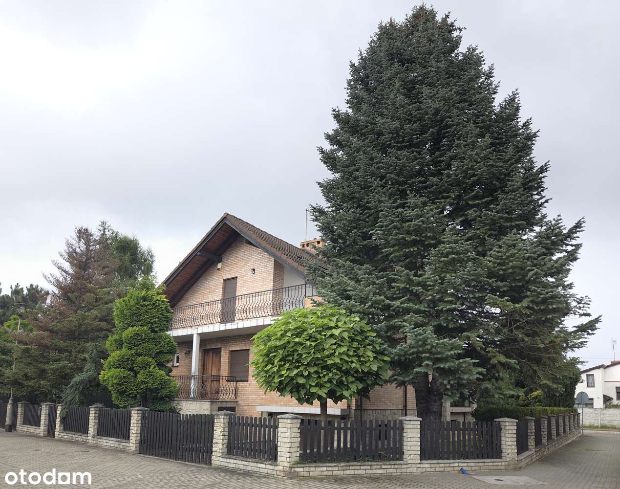 Dom z ogrodem, oranżerią + biuro / przestrzeń na biznes-19