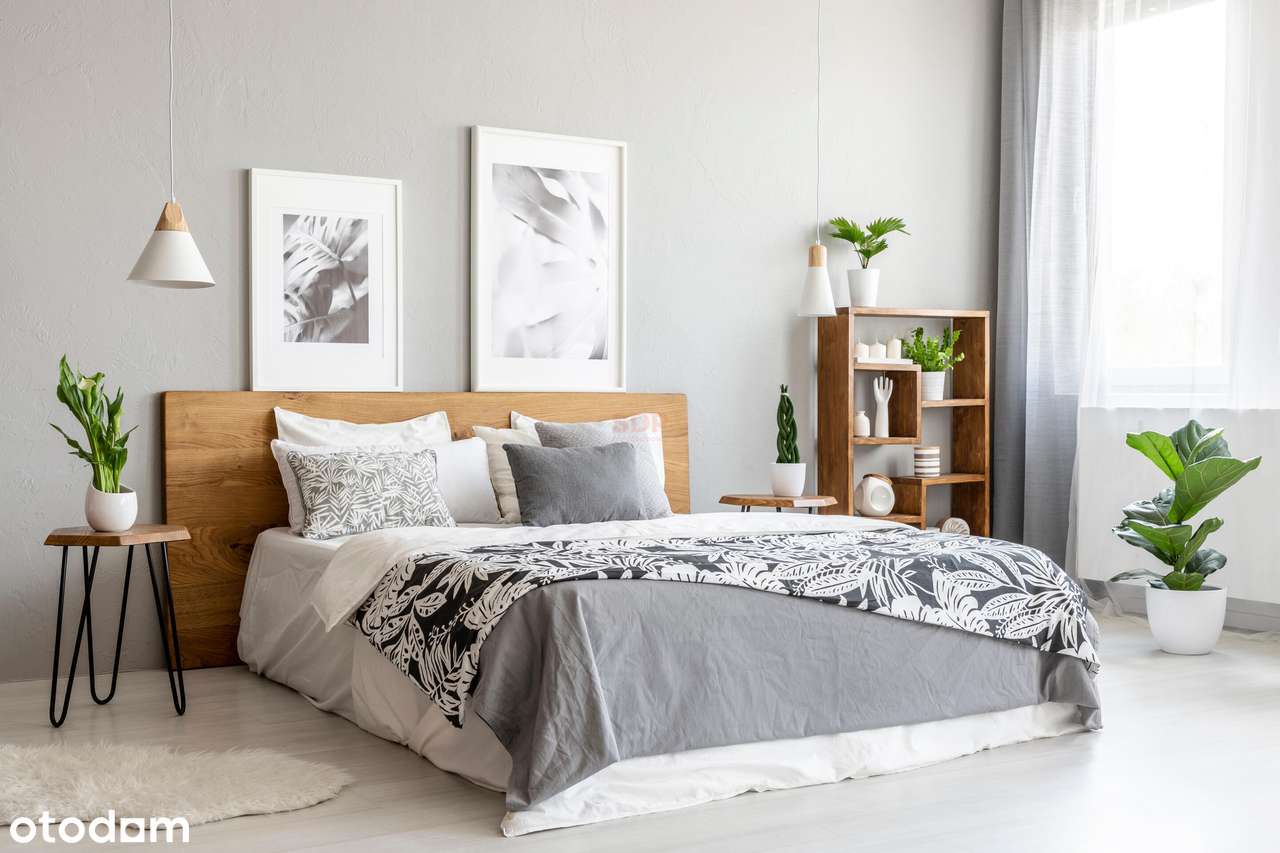 2-pokojowe w cichej i spokojnej okolicy pośród zieleni. - Pełny obrazek: 2/14