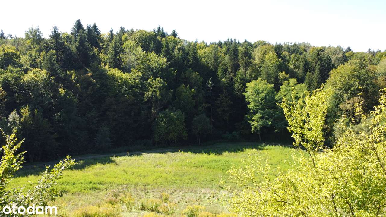 Piękny Dom z widokiem na Sosnowy las|Działka 13 ar| Cicha okolica !-4