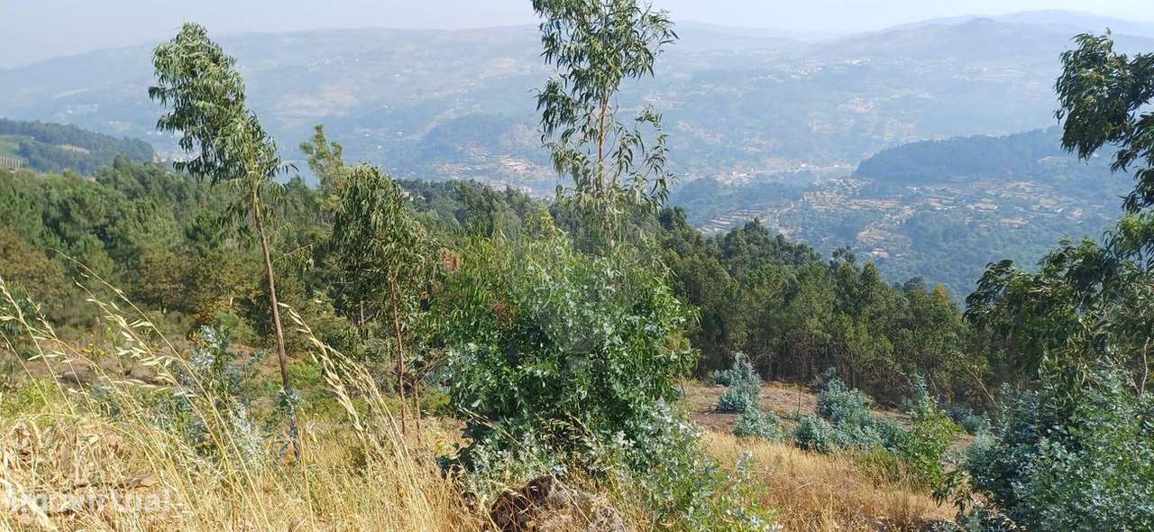 Terreno  para venda - Grande imagem: 4/6