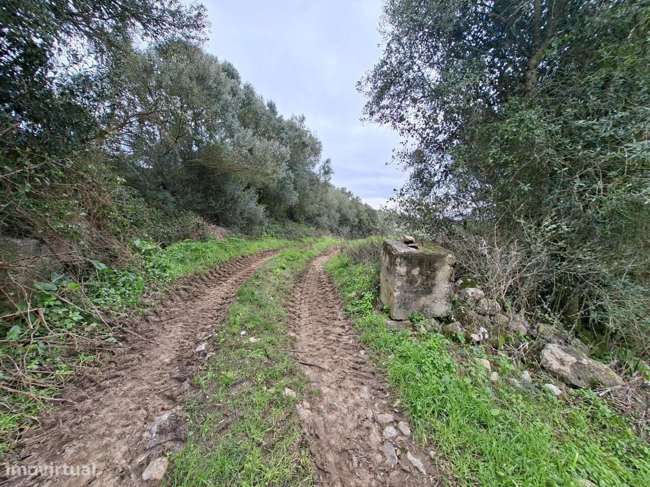 Terreno rústico com 49.280 m2 – Potencial agrícola e possibilidade con - Grande imagem: 5/13