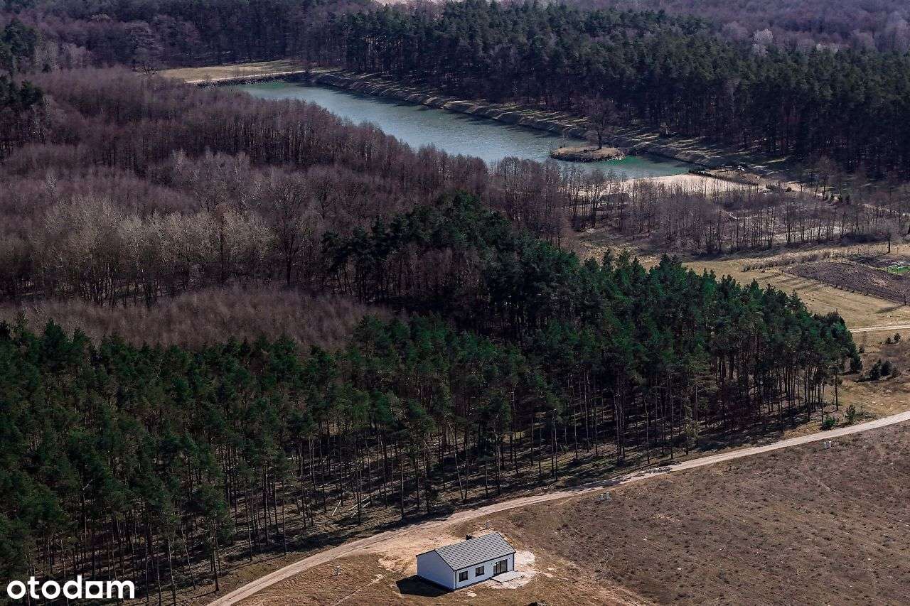 Nowy wolnostojący dom przy lesie - Pełny obrazek: 5/19