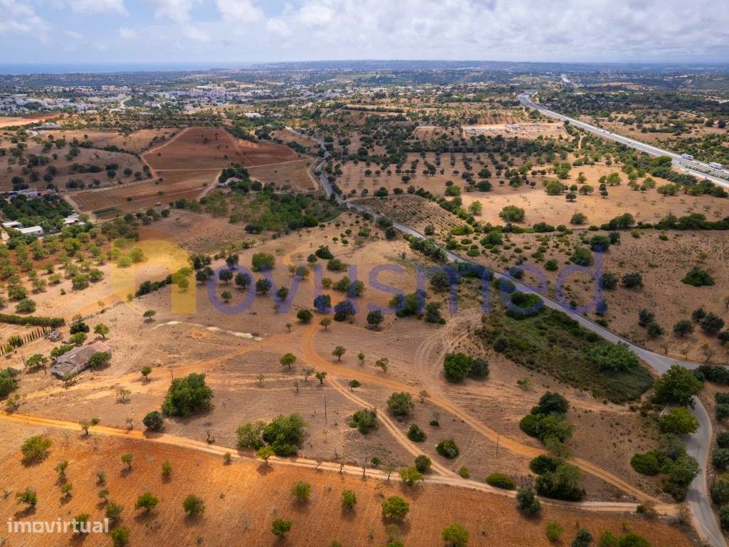 Quinta de 2,1 ha com Potencial para Turismo Rural- Guia Valverde-19