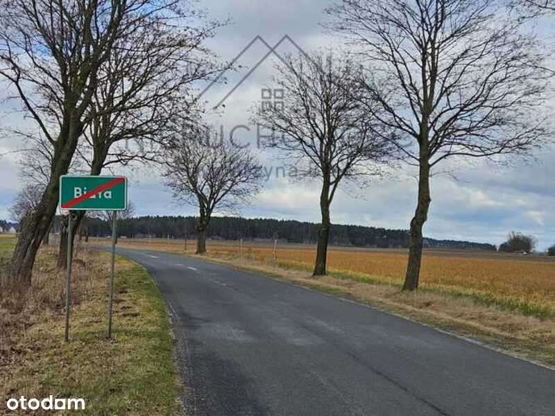 Działka budowlana w Białej - Pełny obrazek: 4/16