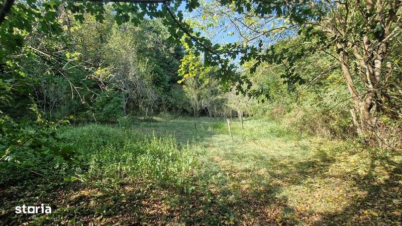 Vand teren gradina - Imagine principală: 4/8