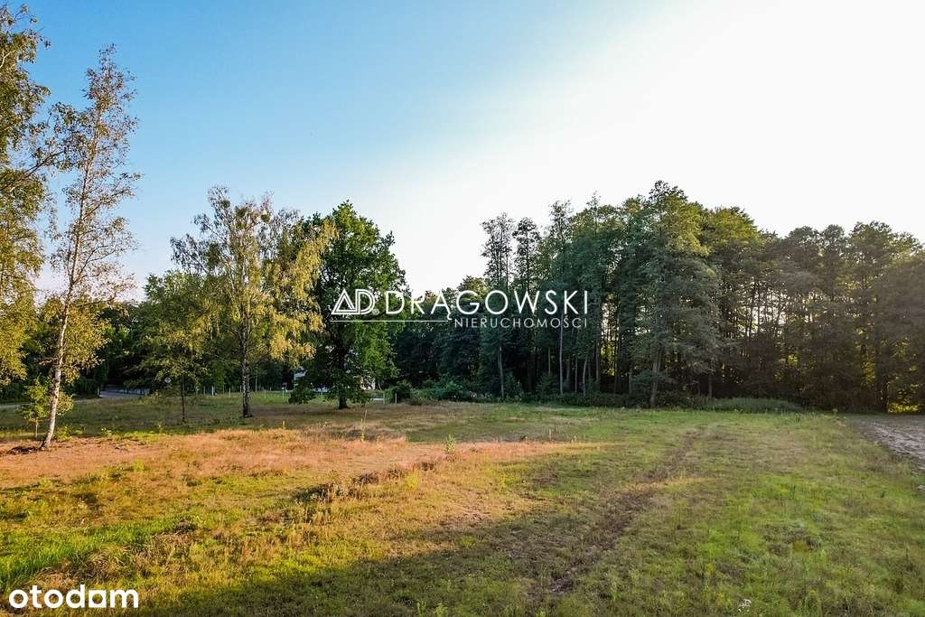 Duża działka w leśnej okolicy, Musuły, Żabia Wola-3