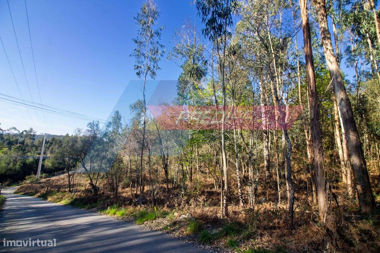 Terreno Rústico em Igreja Nova - Barcelos! - Grande imagem: 3/4