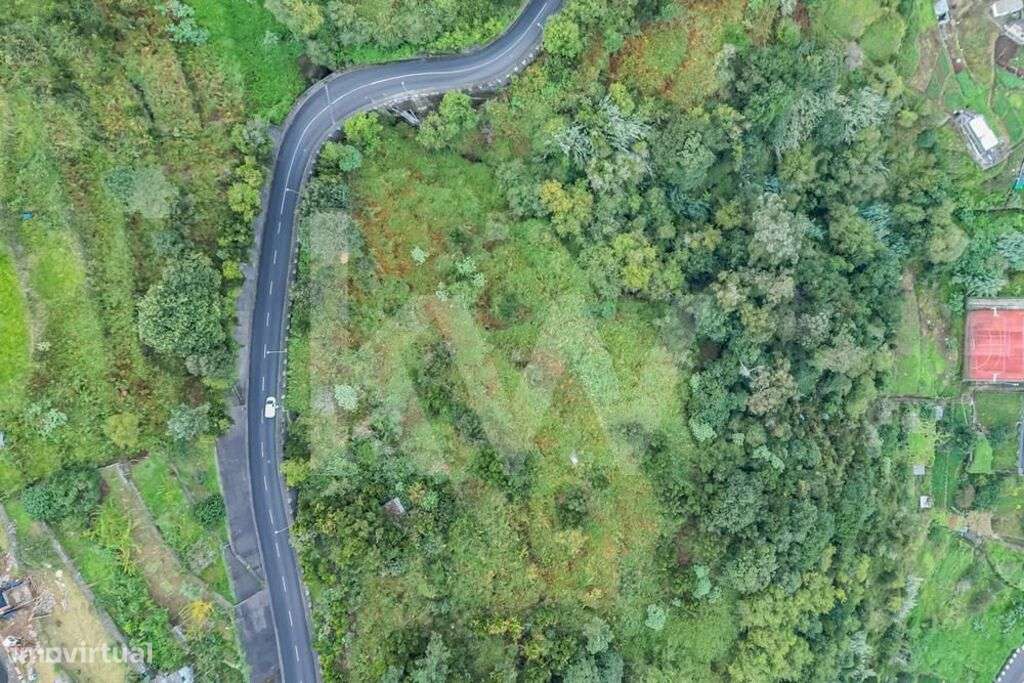 Terreno localizado freguesia da Boaventura | Fajã do Penedo - Grande imagem: 4/13