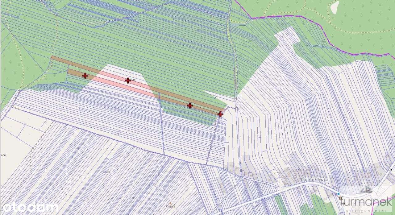 Ponad 3 ha gruntów rolnych i leśnych w Kajetanówce - Pełny obrazek: 4/16