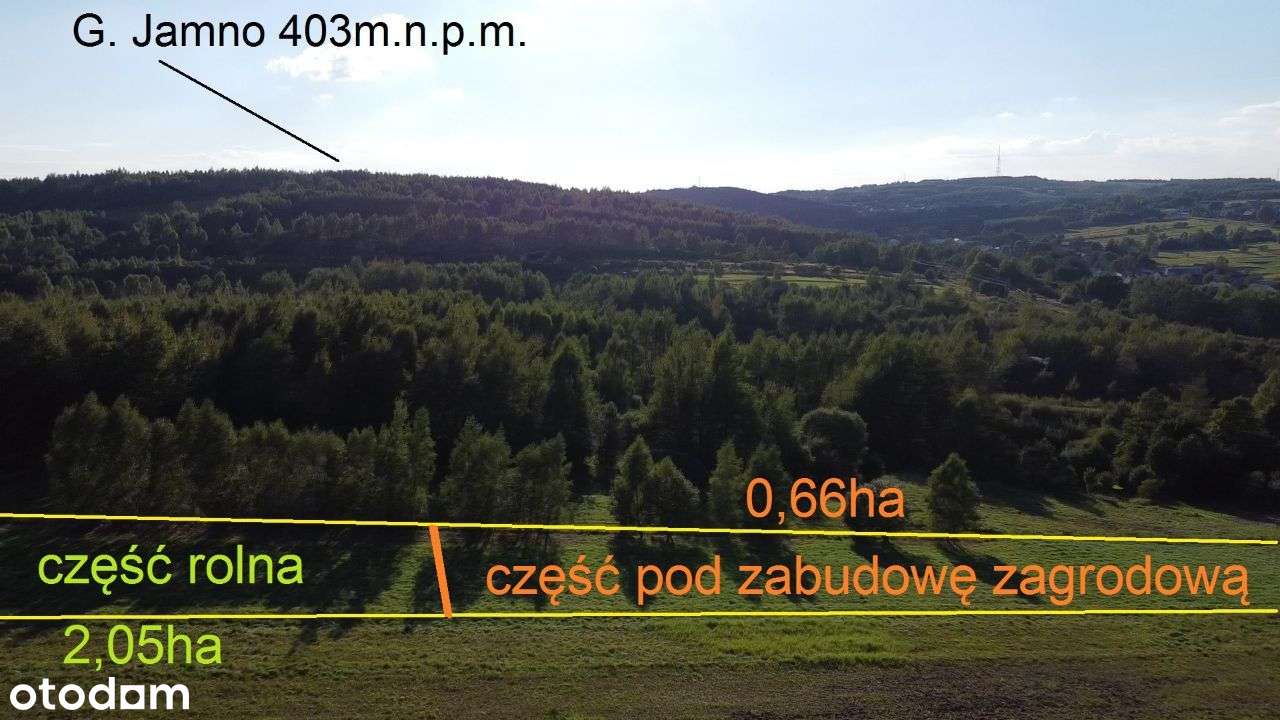 działka rol-bud WIDOKOWA z trawy na LAS - Pełny obrazek: 4/20