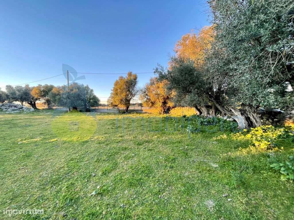 Quinta ruína em Redondo - Grande imagem: 4/29