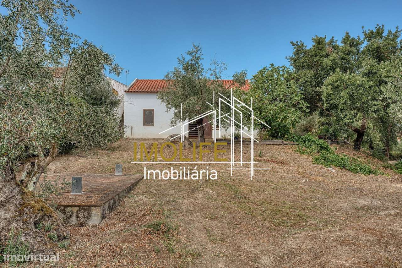 Quinta T4 em Mora-16