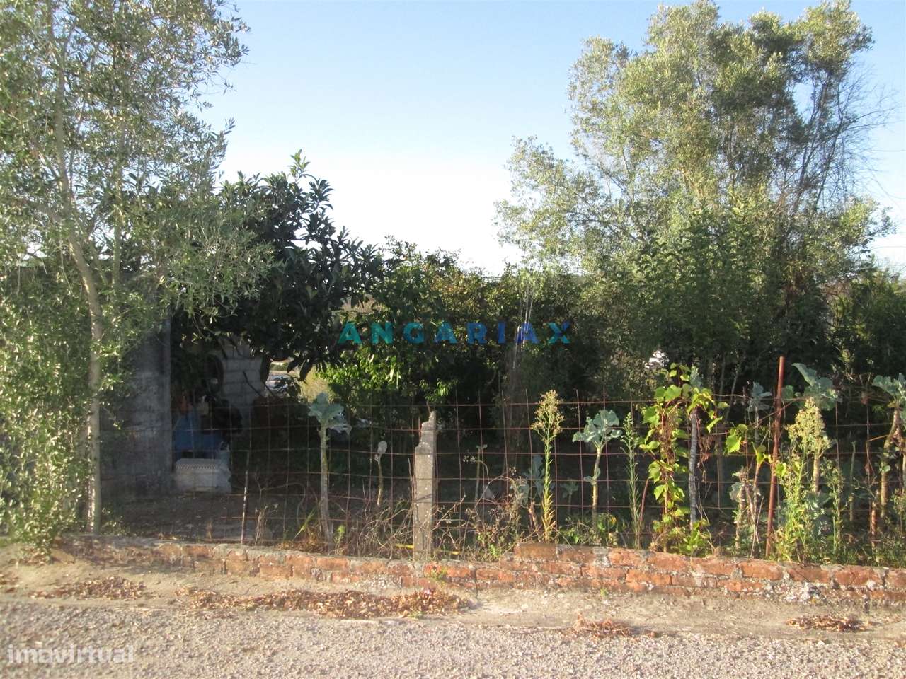 ANG930 - Terreno para Venda em Valongo, Colmeias - Grande imagem: 4/20