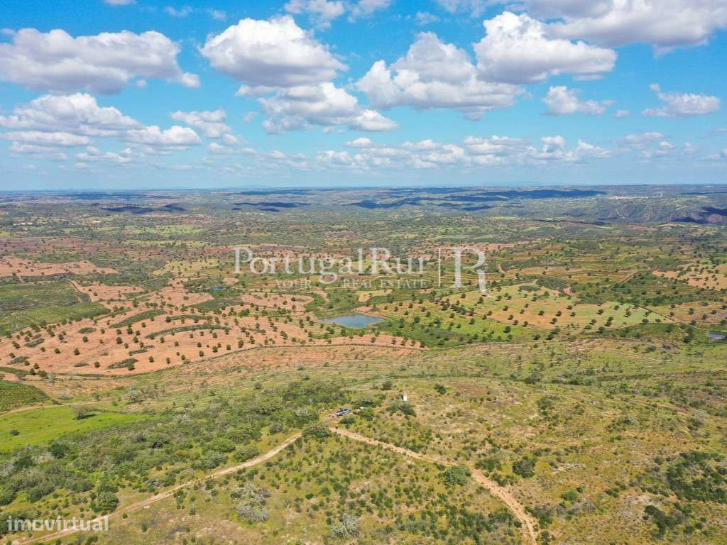 Herdades de Caça com 1300 Hectares, junto do rio Guadiana-19