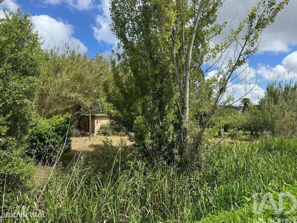Terreno em Maiorga de 1020,00 m2 - Grande imagem: 4/16