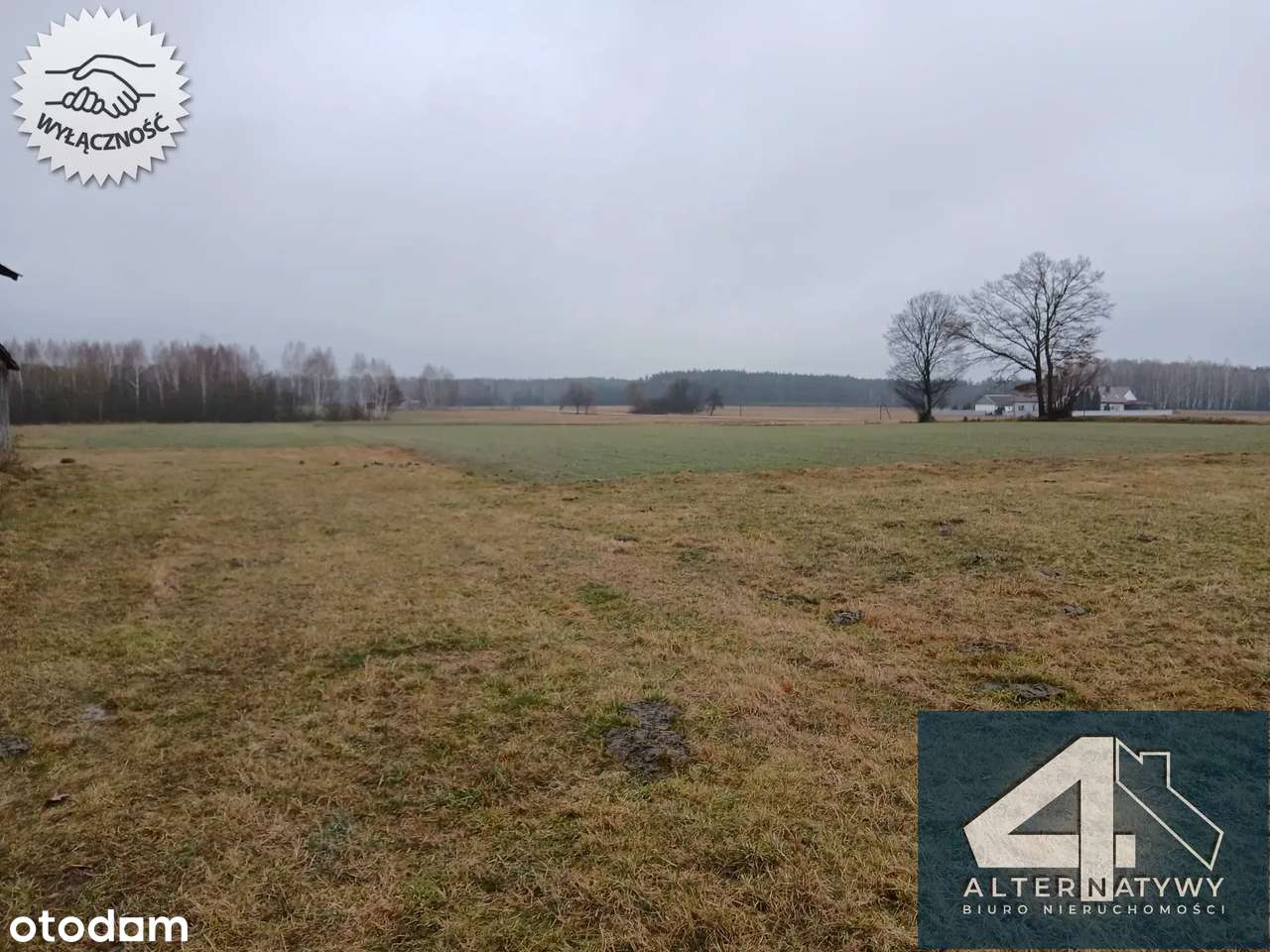 Gospodarstwo 7,4 ha ,nowy dom, siedlisko.-5