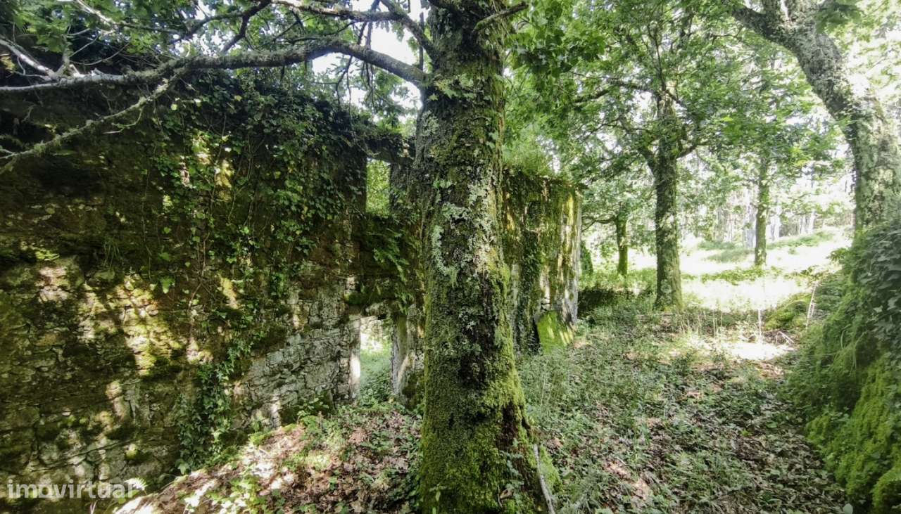 Venda de Quinta, Areosa, Viana do Castelo-2