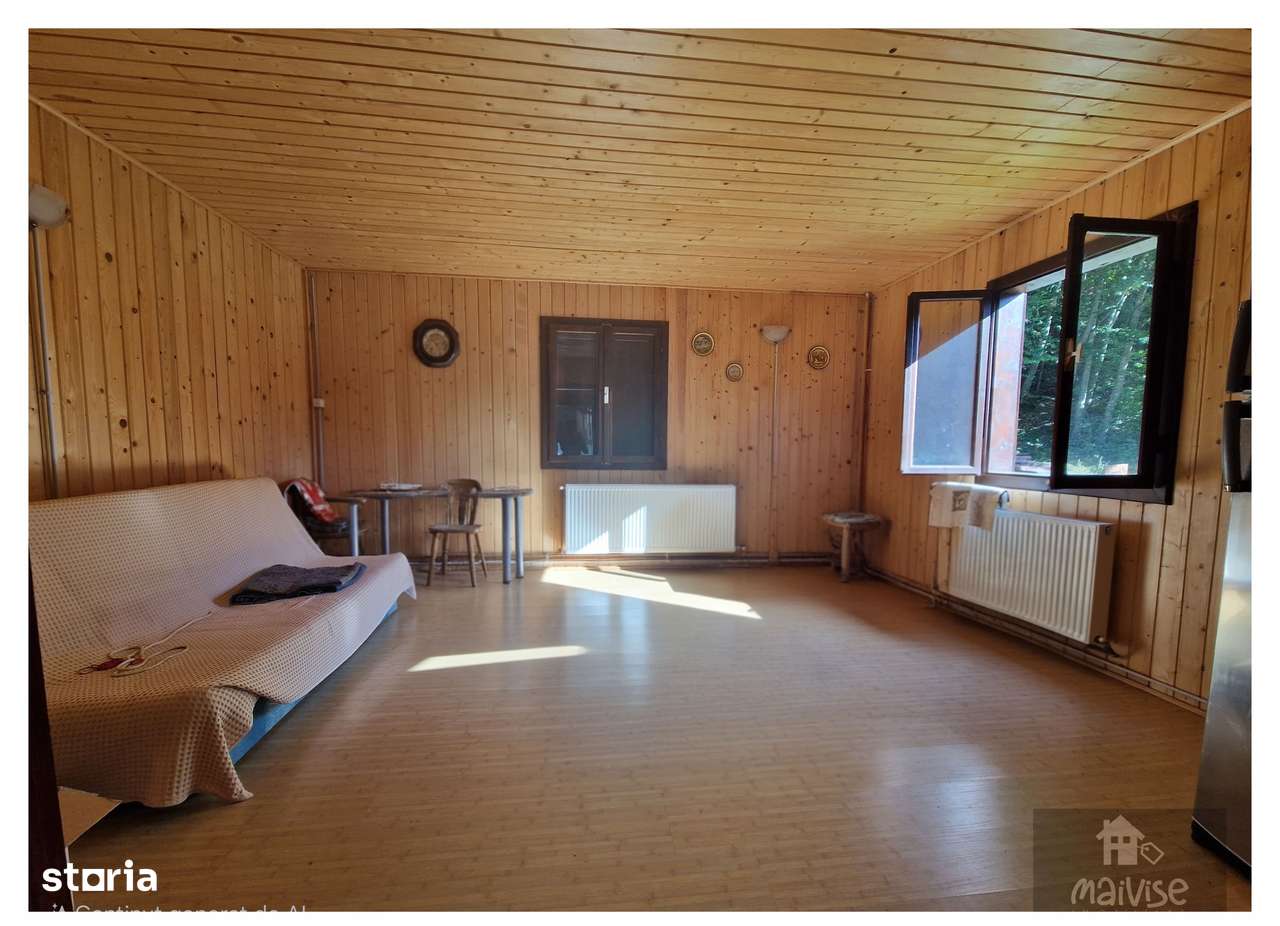 Oaza ta de liniste! Casa de vacanta- Valea Bozomului, Brasov-14