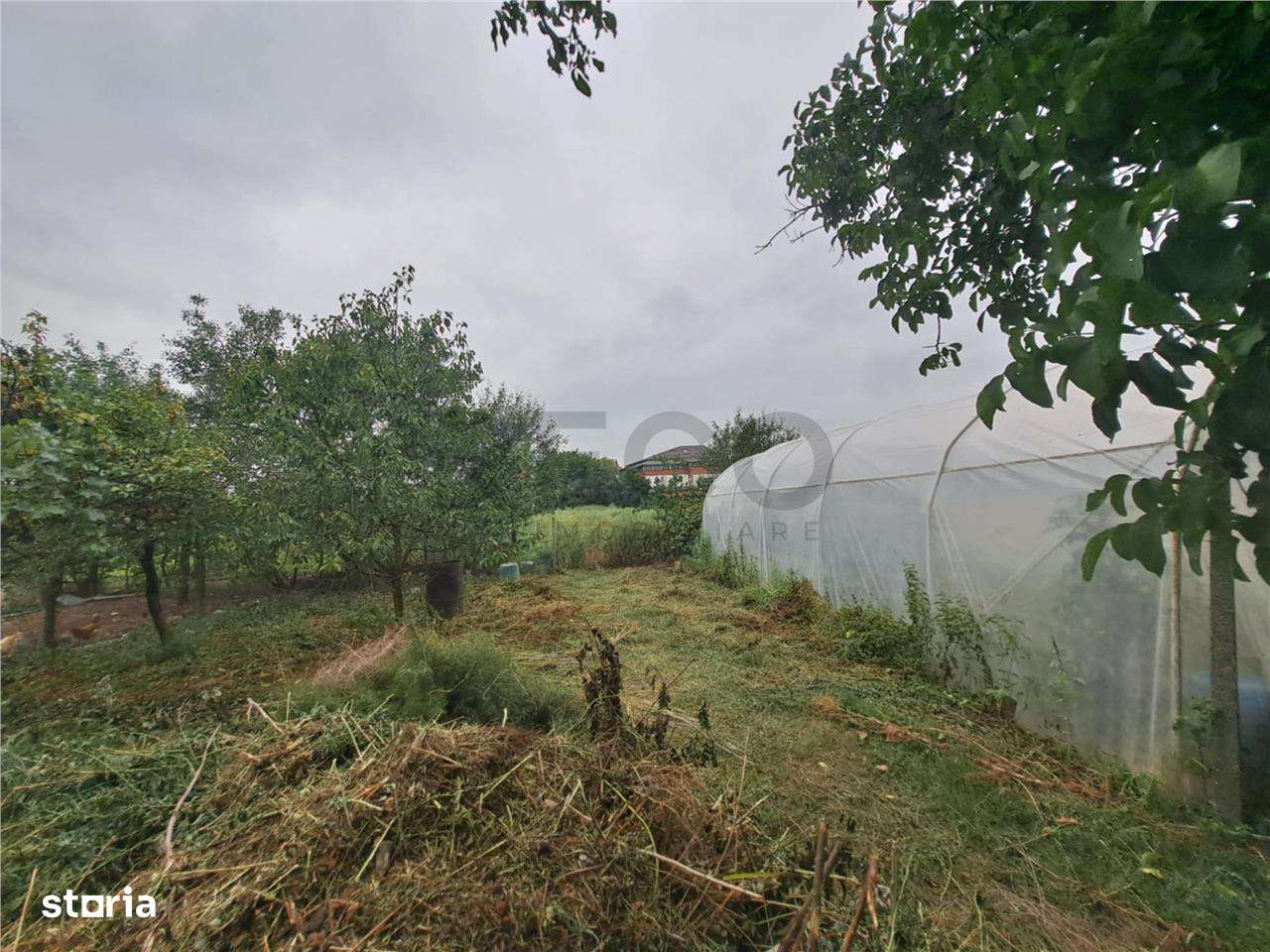 RECO  casa batraneasca Salard - Imagine principală: 5/19