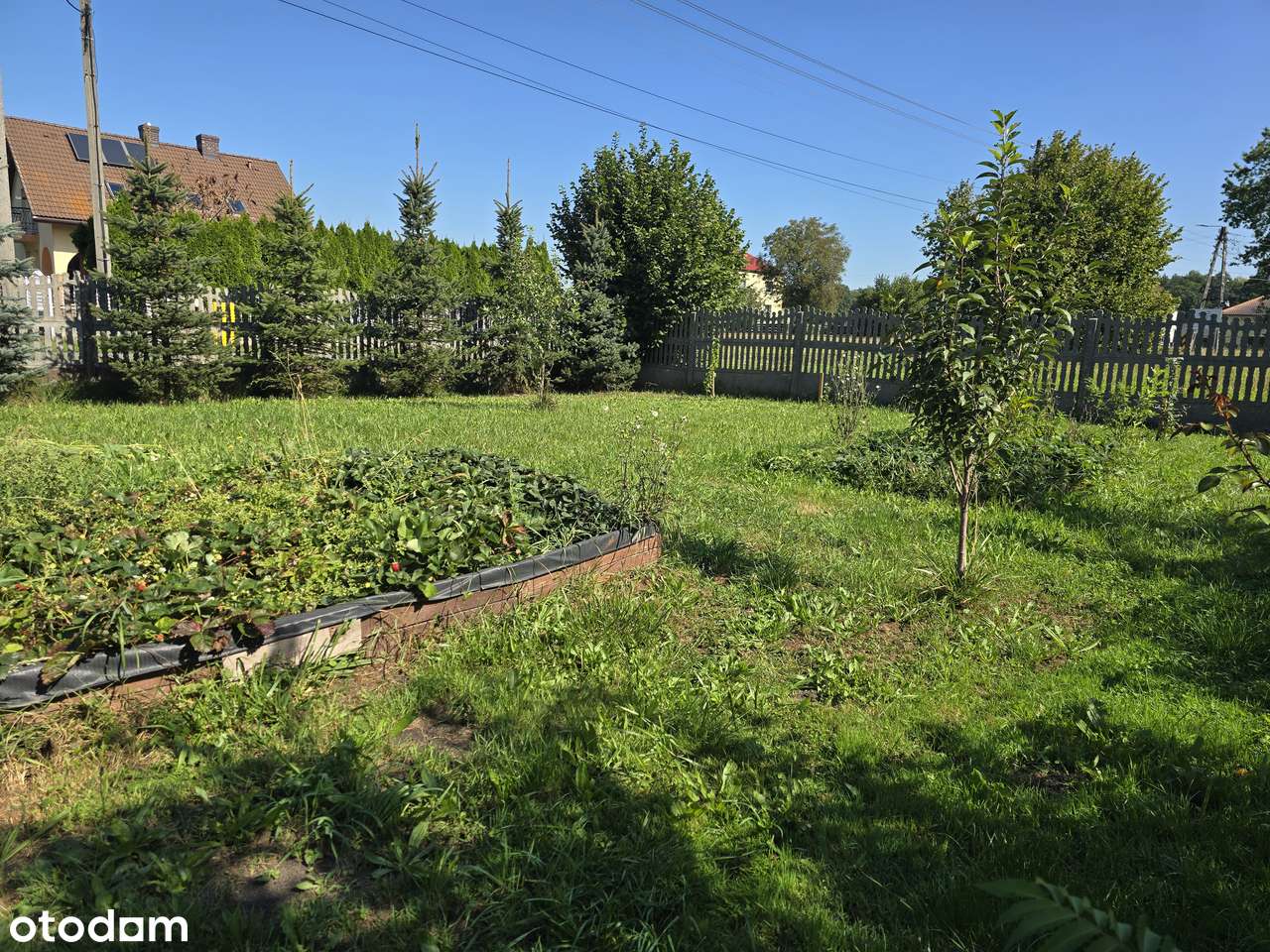 Piękna działka budowlana w pobliżu lasu! - Pełny obrazek: 4/4