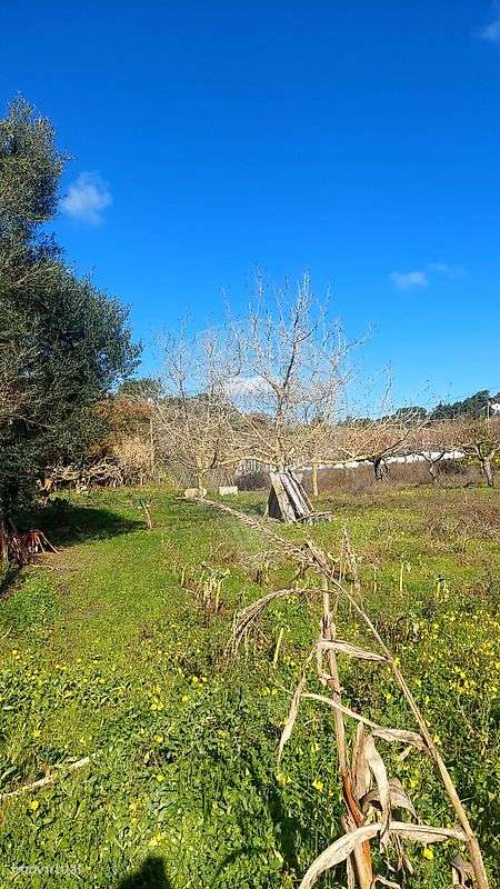 Terreno  para venda-29