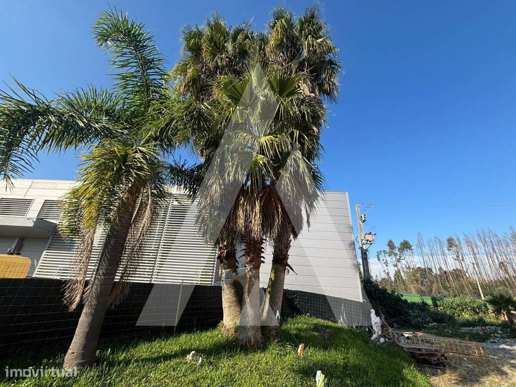 Armazém para venda em Águeda-40