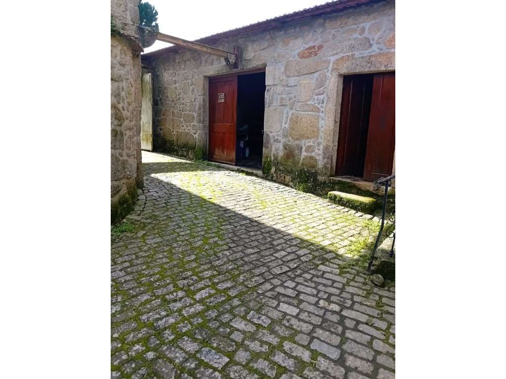 Quinta em Vila Nova de Famalicão - Gondifelos | 6.000 m² de Terreno...-11
