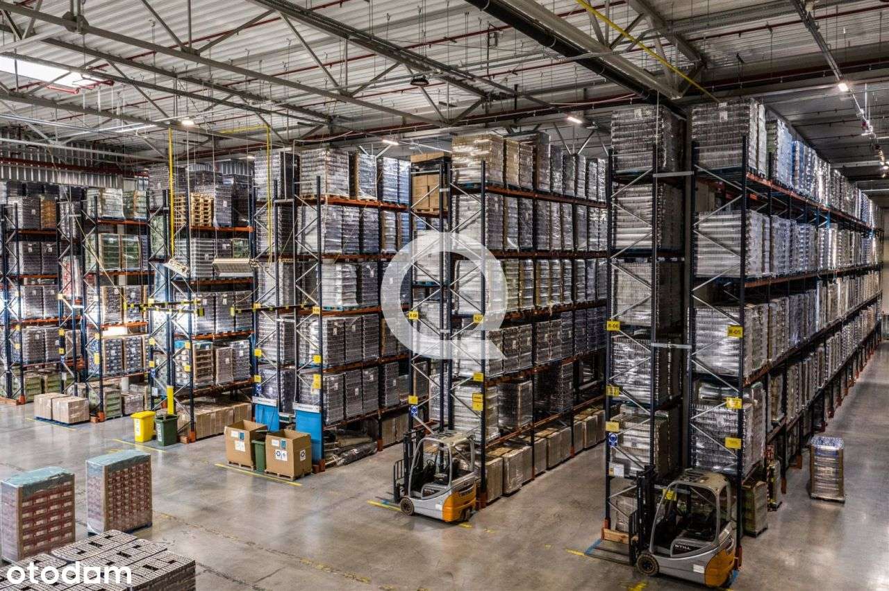 Nowoczesny park logistyczny przy węźle Brzeziny - Pełny obrazek: 5/7