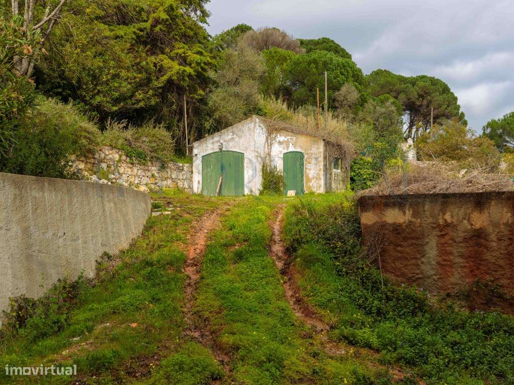 Quinta do Levante: Refúgio de Luxo com Projeto Aprovado no Coração ...-30