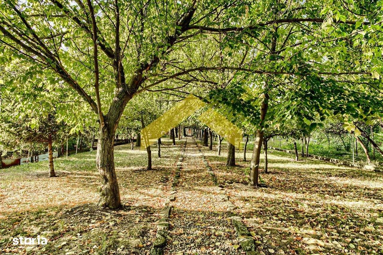 Casa de vinzare zona Gradiste-13