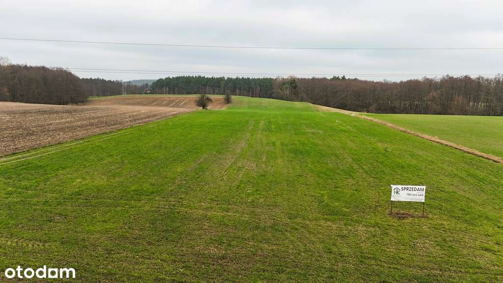 Działki budowlane blisko jeziora - Pełny obrazek: 5/7