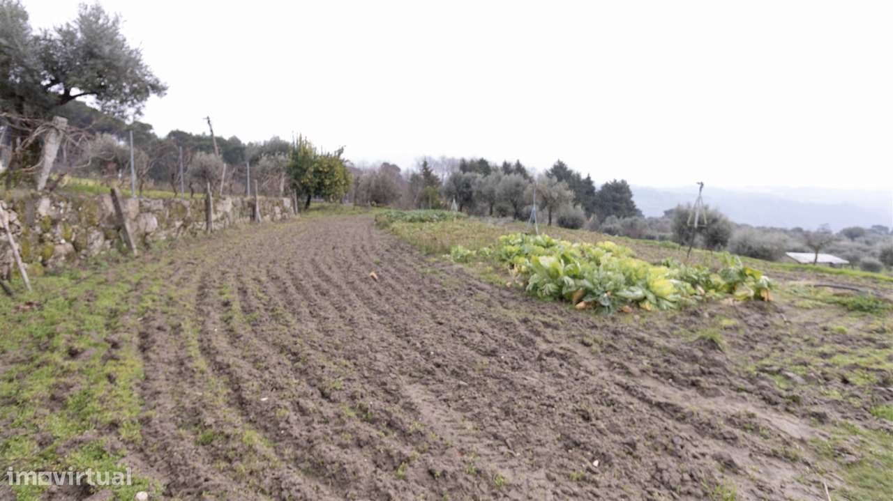 Terreno para Construção - São João de Lourosa - Grande imagem: 5/10