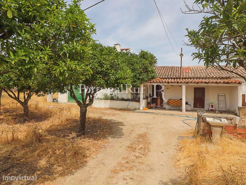 Encantadora quintinha alentejana-13