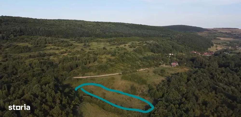 Oportunitate teren 5000 mp+2800 mp Padure Bonus-0