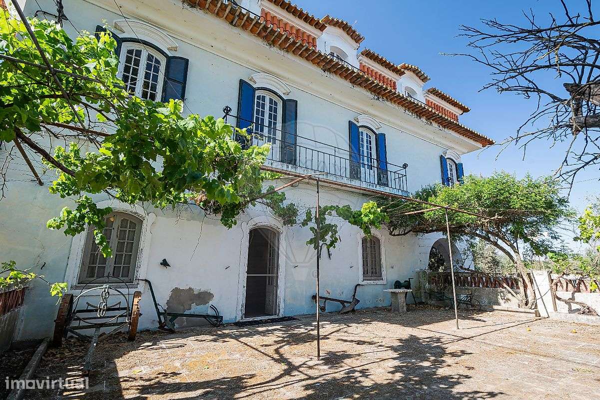 Quinta T13 para venda-3