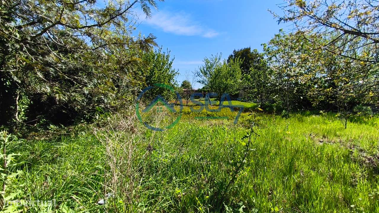 Moradia T6 com grande terreno, Meadela-48