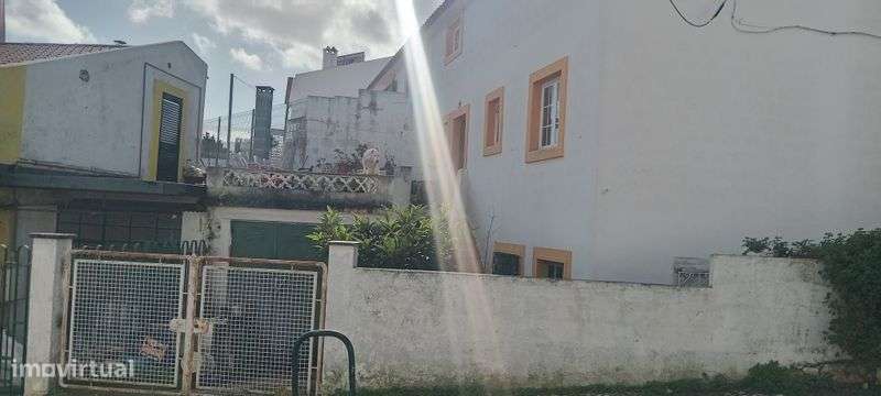 Moradia germinada - Grande imagem: 4/4