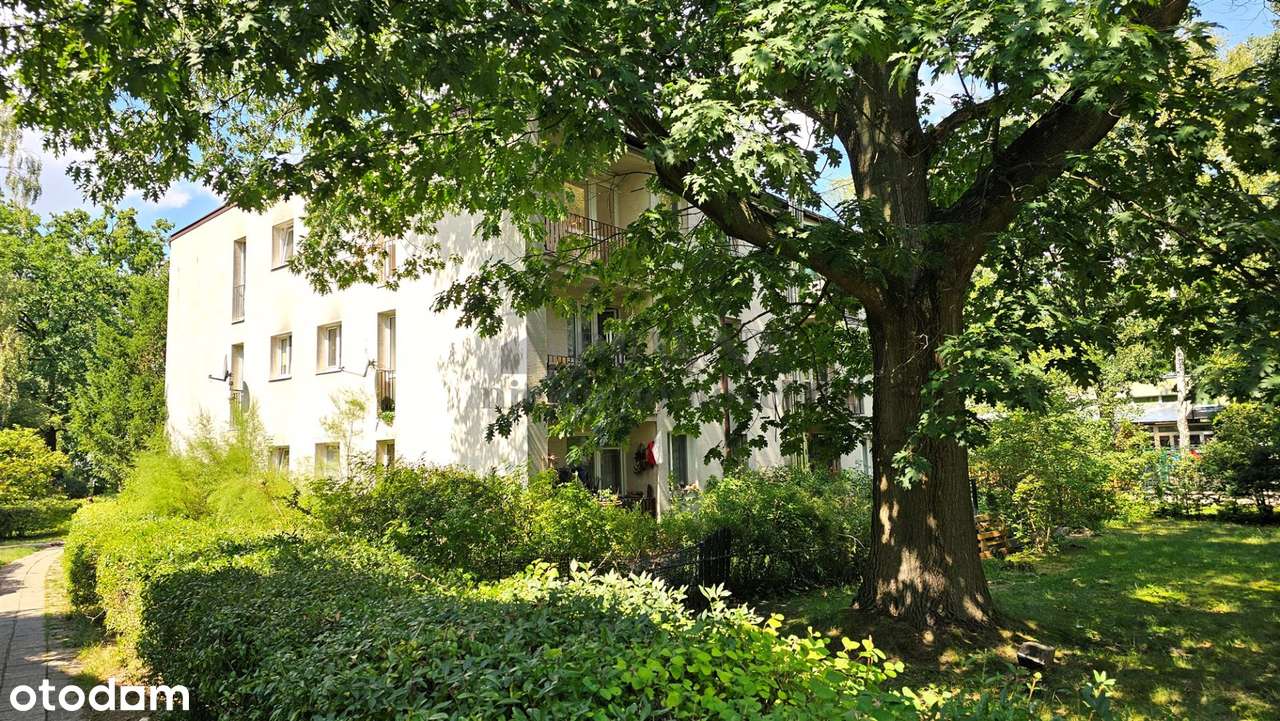 Anin | 2 pokoje | loggia | cisza i zieleń | 37 m²-5