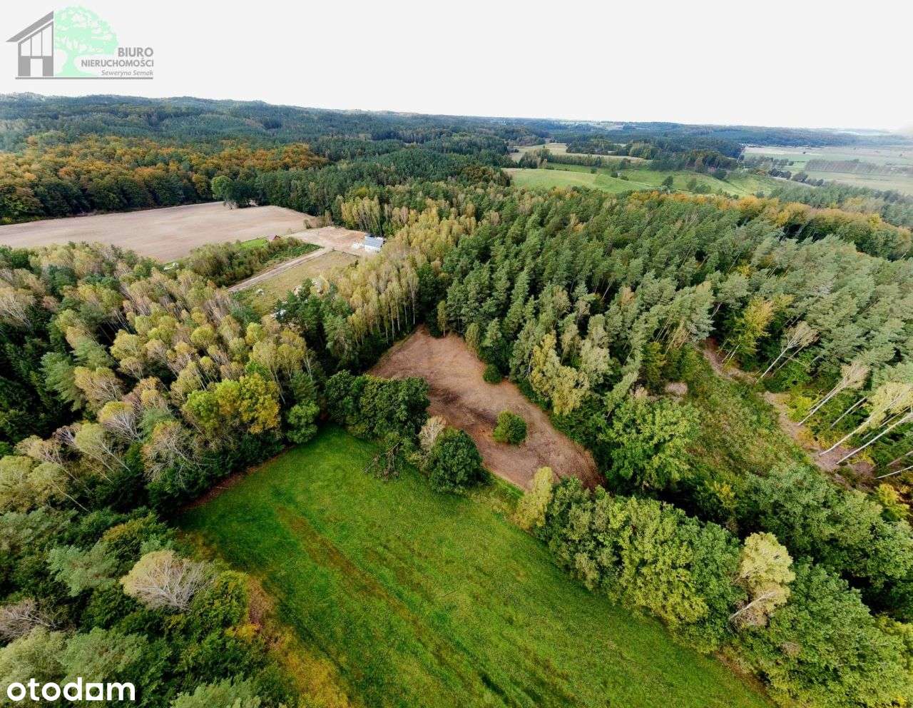 Duża działka siedliskowa 4600 m2 Strzebielino Wyb. - Pełny obrazek: 4/17