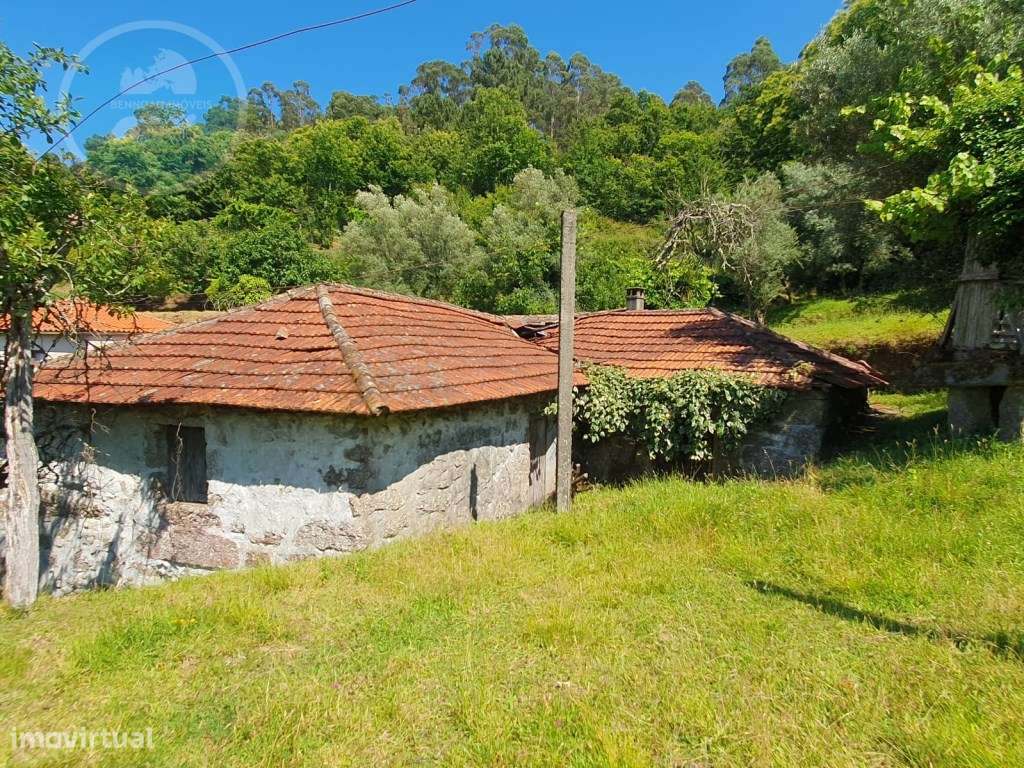 Quinta à venda para restauro em Arroteia freguesia de Rossas-9