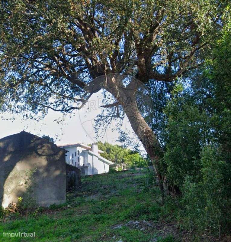 Terreno  para venda - Grande imagem: 4/6