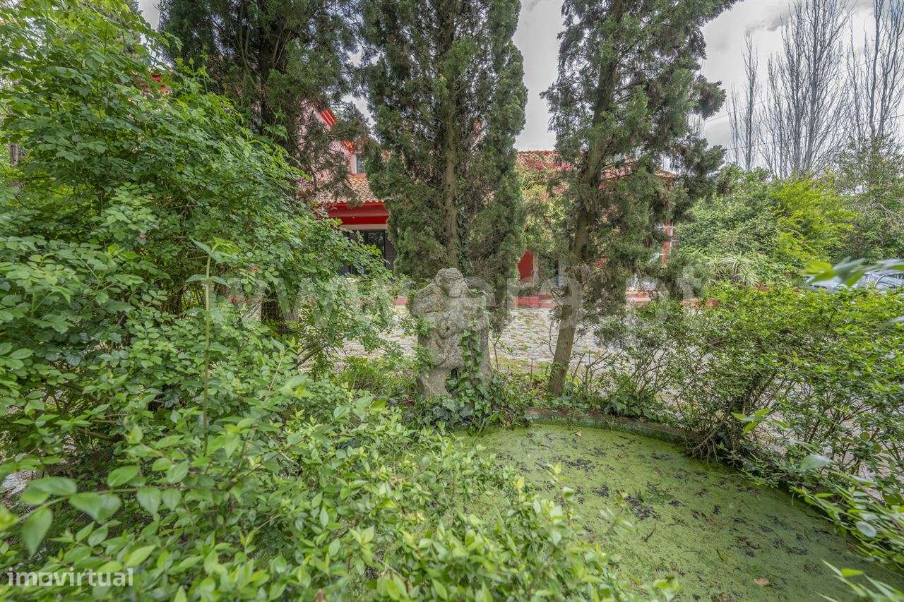 Magnifica Quinta T7; Verdizela-41