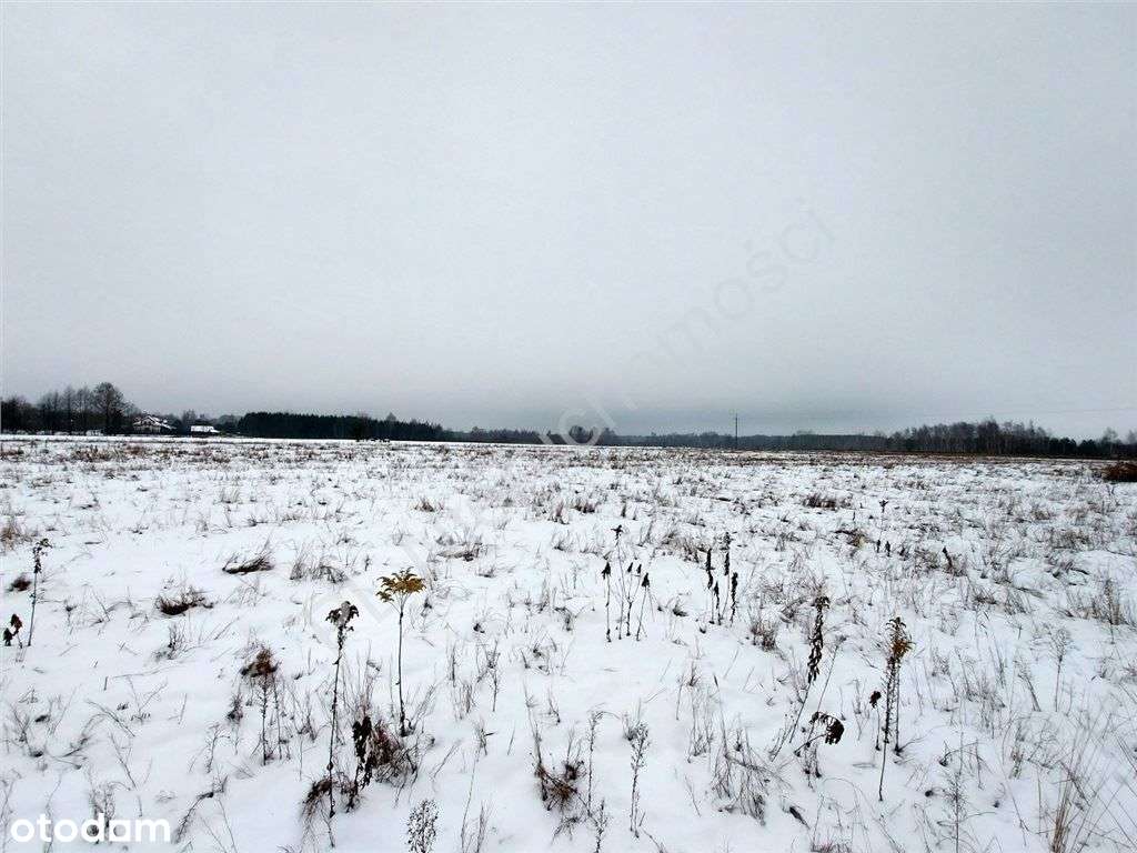 Warunki Zabudowy, Dojazd Asfaltem, Media.-2