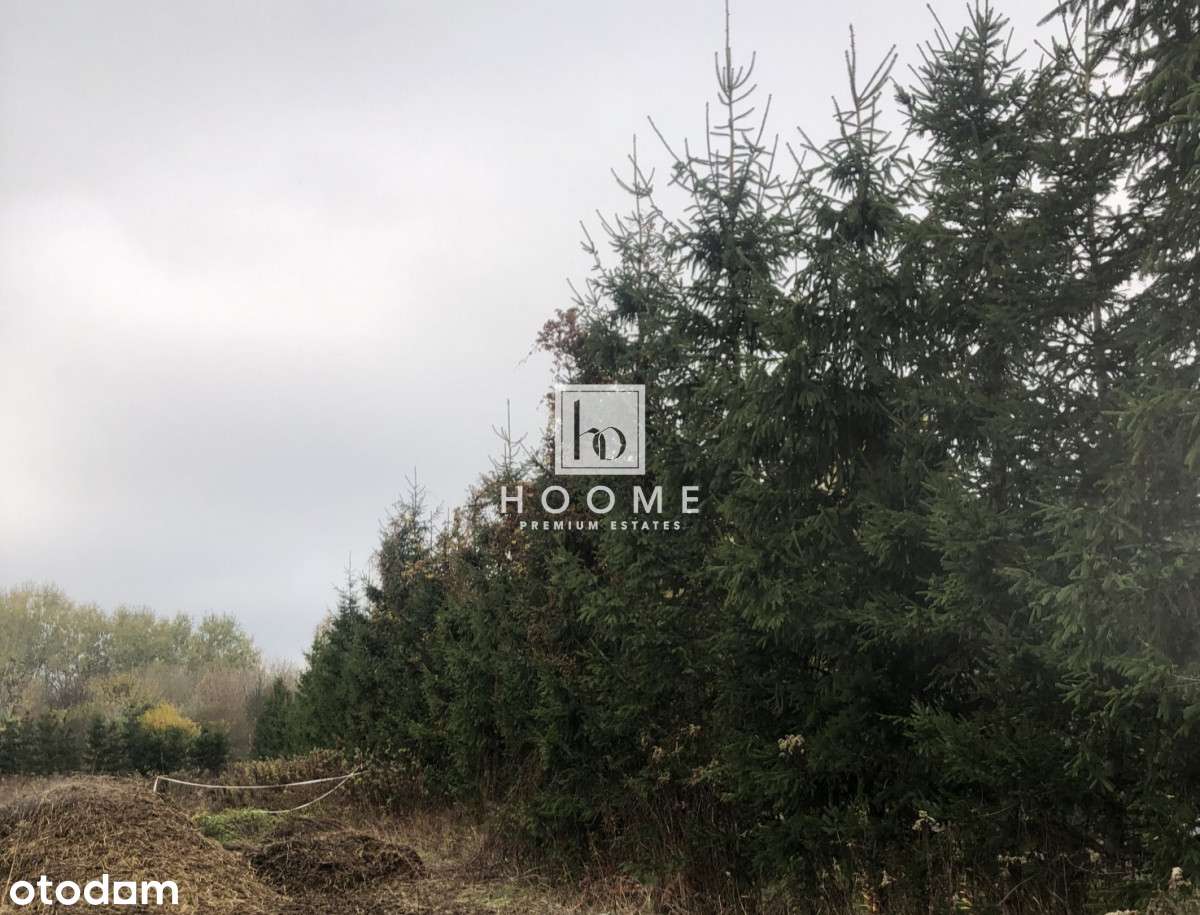 Urokliwa Działka- Wialanów!!-10