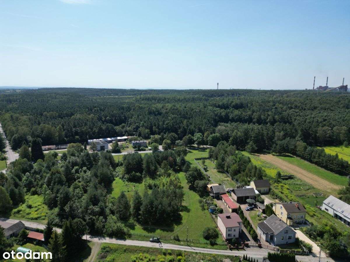 Działka Budowlana 4966 m2 blisko lasu Łęka-2