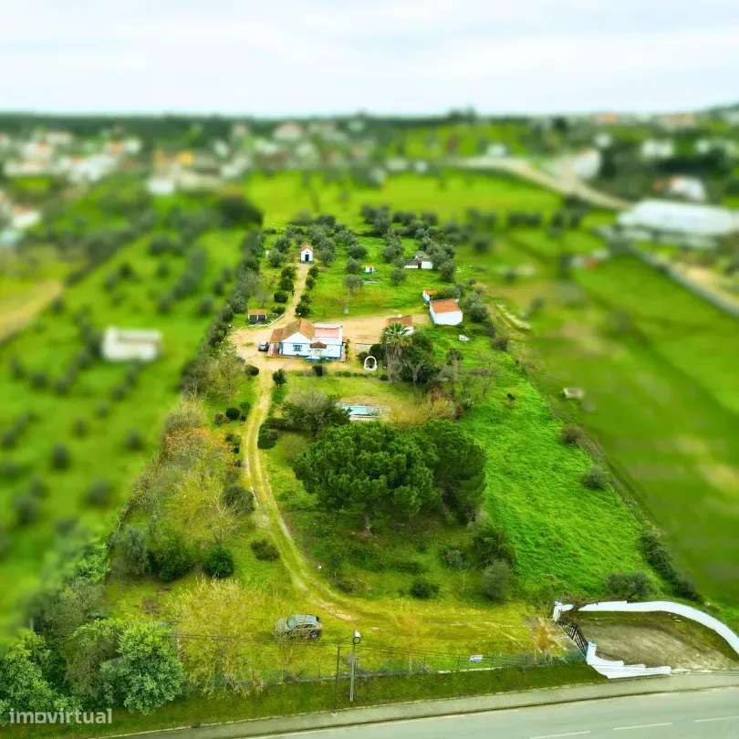 Exclusiva Herdade em Mora | Évora - Grande imagem: 2/55