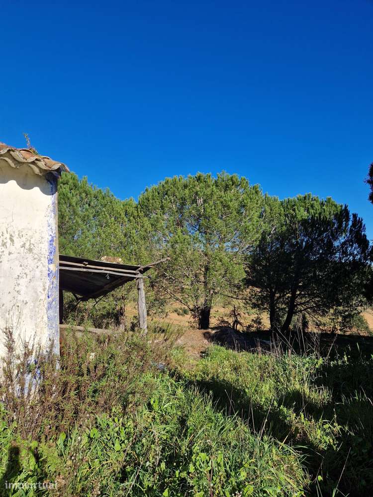 Ruína com 4 Hectares de terreno - S. Teotónio (Odemira) - Grande imagem: 5/9
