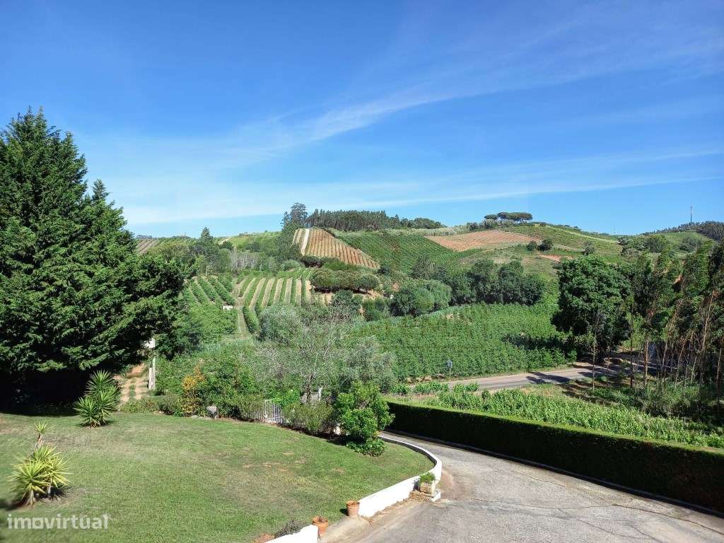 Moradia Tradicional Portuguesa com Piscina e Vistas Deslumbrantes-5