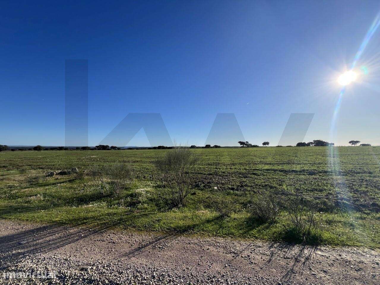 Herdade Exclusiva Junto à Barragem do Alqueva – Investimento Turístico-30